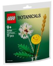 Opakowanie LEGO(R) BOTANICALS 30701 Kwiaty polne