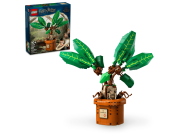 Opakowanie LEGO(R) HARRY POTTER 76433 Mandragora