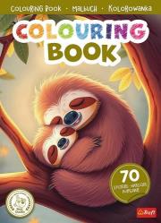 Opakowanie Leniwce. Kolorowanka z naklejkami