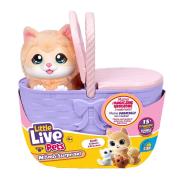 Opakowanie Little Live Pets Mama Surprise - Kocia Mama