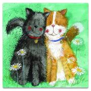 Opakowanie Magnes FM190 Koty Toffee i Treacle