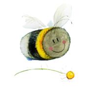 Opakowanie Magnes FM251 Pszczoła i stokrotka
