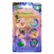 Opakowanie Magnesy Diplodok 30mm 6szt