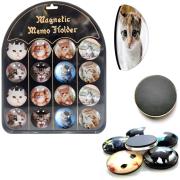 Opakowanie Magnesy koty (16szt)