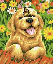 Opakowanie Malowanie po numerach 40x50cm Piesek z motylem