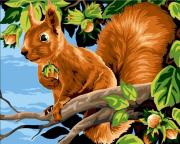 Opakowanie Malowanie po numerach 40x50cm Wiewiórka z...