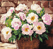 Opakowanie Malowanie po numerach - Delikatny aromat 40x40cm