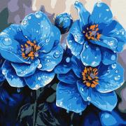 Malowanie po numerach - Fiołki co rano 30x30cm. Wydawca: Ideyka. Dadada.pl Opakowanie Malowanie po numerach - Fiołki co rano 30x30cm