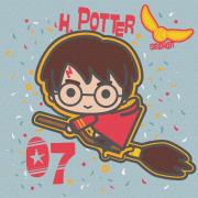 Opakowanie Malowanie po numerach - Harry Potter 25x25cm