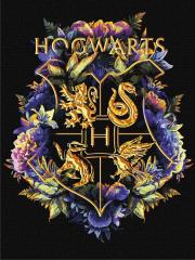 Opakowanie Malowanie po numerach -Herb Hogwartu metal 3040cm
