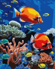 Malowanie po numerach - Jaskrawa rafa 40x50cm. Wydawca: Ideyka. Dadada.pl Opakowanie Malowanie po numerach - Jaskrawa rafa 40x50cm