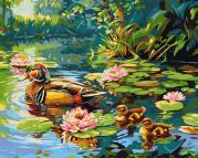 Opakowanie Malowanie po numerach - Kacza rodzina 40x50cm