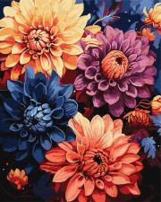 Opakowanie Malowanie po numerach - Kolorowe dalie 40x50cm