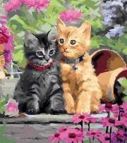 Opakowanie Malowanie po numerach - Kotki w uścisku 40x50cm