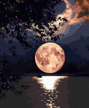 Opakowanie Malowanie po numerach - Księżycowa noc 40x50cm