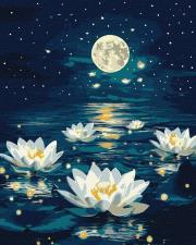 Opakowanie Malowanie po numerach - Lotos pod poświatą 40x50cm