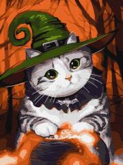 Opakowanie Malowanie po numerach - Magiczny kotek Kids