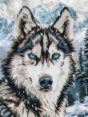 Opakowanie Malowanie po numerach -Oczy północy 3040cm