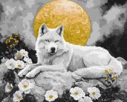 Opakowanie Malowanie po numerach - Pod blaskiem księżyca