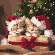 Opakowanie Malowanie po numerach - Puszyste prezenty 40x40cm