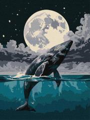 Opakowanie Malowanie po numerach - Skok do nieba 30s40cm