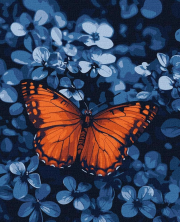 Opakowanie Malowanie po numerach - Światło wśród ciemności