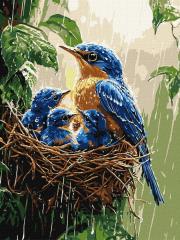 Opakowanie Malowanie po numerach - Wiosenny deszcz 30x40cm