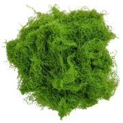 Opakowanie Mech dekoracyjny jasniozielony 30g
