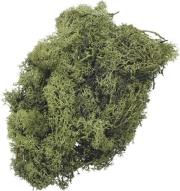 Opakowanie Mech dekoracyjny zielony 50g