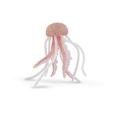 Opakowanie Meduza