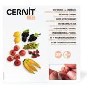 Opakowanie Mini owoce DIY glinka polimer