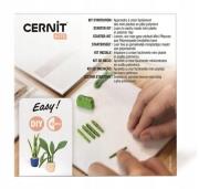 Opakowanie Mini roślinki DIY glinka polimer