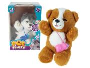 Opakowanie Miś interaktywny