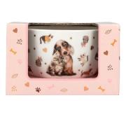 Opakowanie Miseczka w ozdobnym pudełku Top Model Fur Ever Friends 13867A