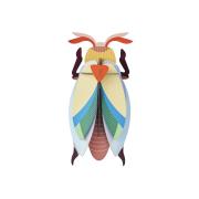 Opakowanie Model kartonowy 3D Wall Art - Beettles. Lunar...