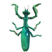 Opakowanie Modliszka