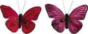 Opakowanie Motyle z klipsem 2szt