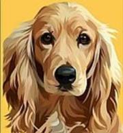 Opakowanie Mozaika diamentowa