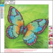 Opakowanie Mozaika diamentowa 5D kit 30x30 cm BUTTERFLY 89751 CENTRUM