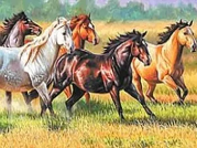 Opakowanie Mozaika diamentowa konie 30x40cm