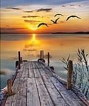 Opakowanie Mozaika diamentowa szczeniak