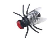 Mucha 1cm 24szt. Wydawca: MFP. Dadada.pl Opakowanie Mucha 1cm 24szt