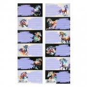 Naklejki na zeszyt Horse (25szt). Wydawca: Starpak. Dadada.pl Opakowanie Naklejki na zeszyt Horse (25szt)