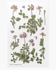 Opakowanie Naklejki ozdobne kwiaty Koniczyna łąkowa