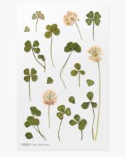 Opakowanie Naklejki ozdobne kwiaty Koniczyna