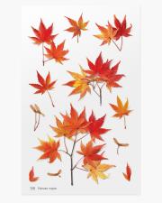 Opakowanie Naklejki ozdobne roślinne Klon palmowy