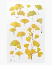 Opakowanie Naklejki ozdobne roślinne Miłorząb