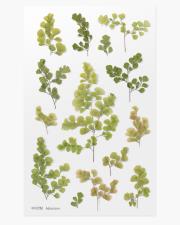 Opakowanie Naklejki ozdobne roślinne Paproć