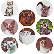 Naklejki papierowe na taśmie Koty 25mm 500szt. Wydawca: Titanum. Dadada.pl Opakowanie Naklejki papierowe na taśmie Koty 25mm 500szt