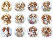 Naklejki papierowe na taśmie Psy 500szt. Wydawca: Titanum. Dadada.pl Opakowanie Naklejki papierowe na taśmie Psy 500szt